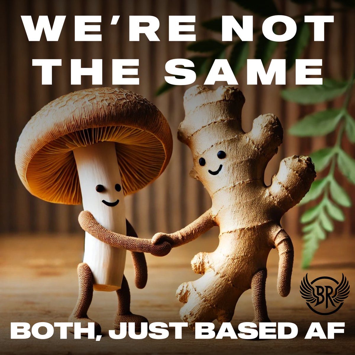 basedritual's tweet image. Each of us makes an impact in our own unique way. Our blend of #organic fermented #superfoods, #mushrooms &amp;amp; #ginger - BOTH bring massive benefits for the #BODY &amp;amp; #MIND