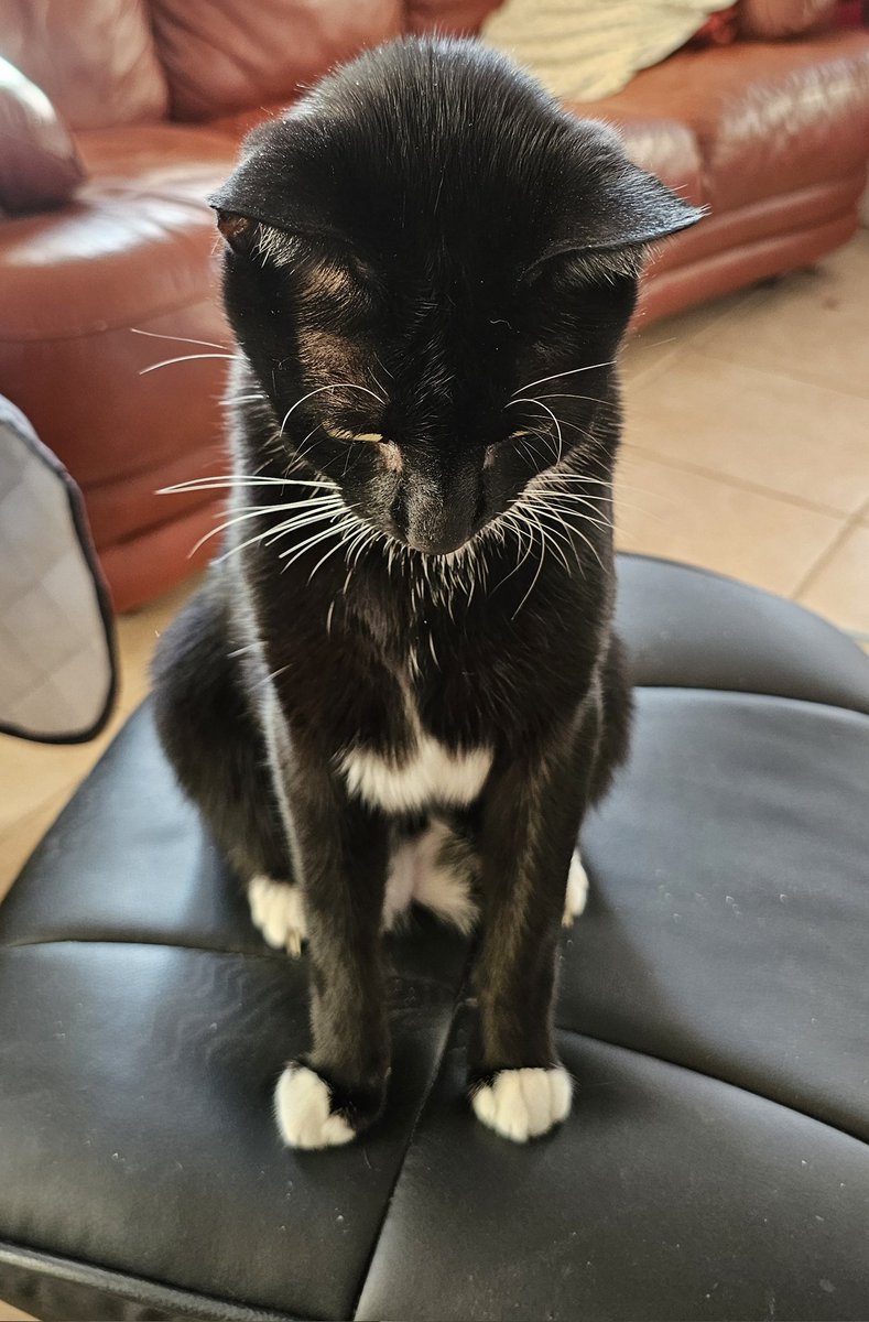 🅹🅾🅷🅽 🆂🅼🅸🆃🅷®️ tweet media