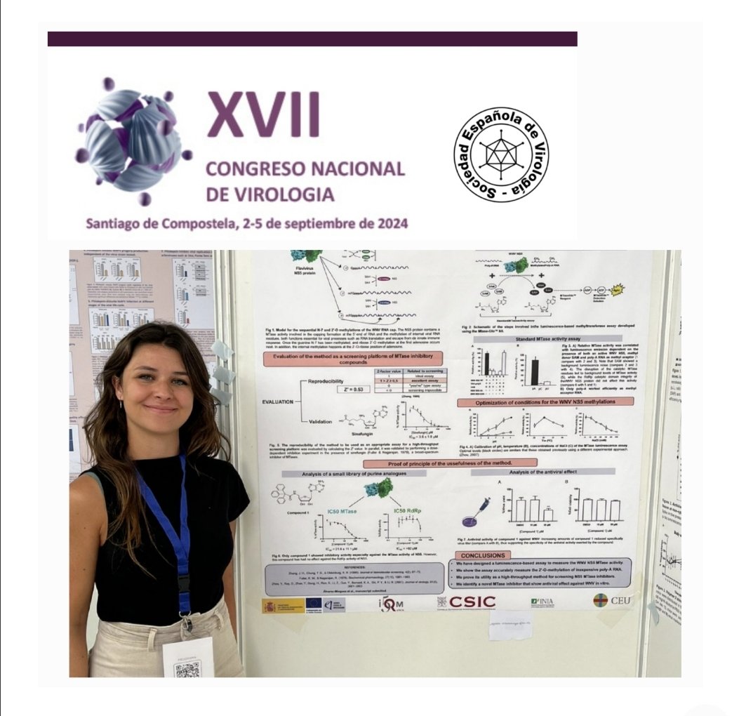 Enhorabuena Alejandra por tu excelente participación en el XVII Congreso Nacional de Virología con el póster titulado “Development of a luminiscence-based method for measuring West Nile Virus MTase activity and its application to screen for antivirals" 👏