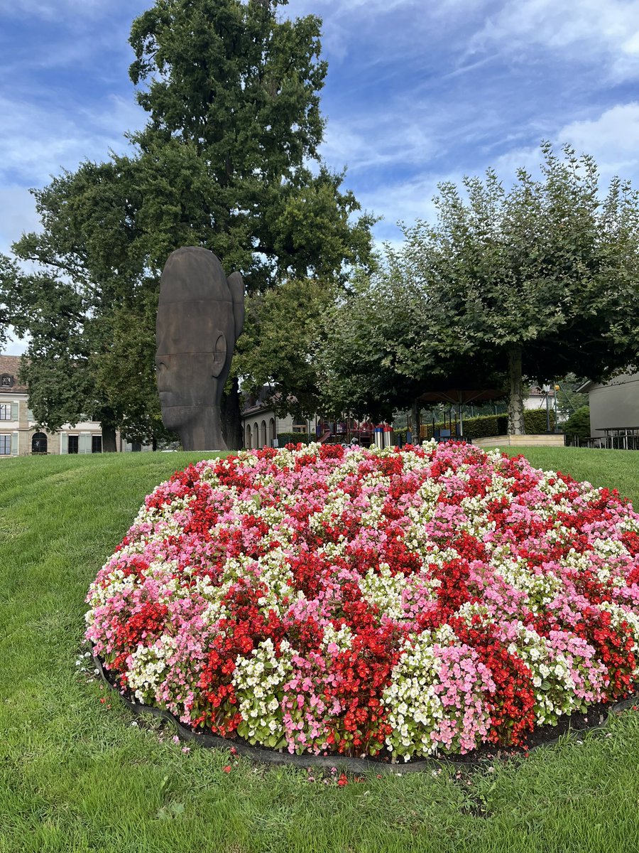 PinkTaxiRunner's tweet image. Do I like to run in the afternoon ? I certainly felt the endorphins, but it wasn’t easy #Cologny