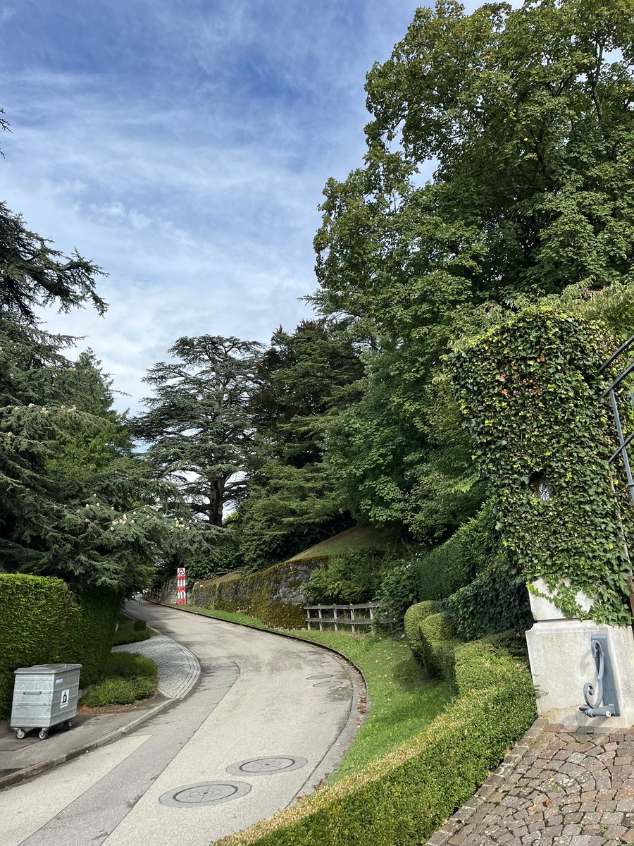 PinkTaxiRunner's tweet image. Do I like to run in the afternoon ? I certainly felt the endorphins, but it wasn’t easy #Cologny