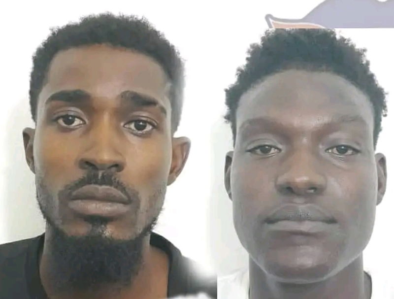 PrevEnfo's tweet image. Police|Opération : Deux présumés membres des gangs «Chen Mechan» et «Pierre 6» arrêtés à Delmas -  constanthaiti.info/62756/policeop…