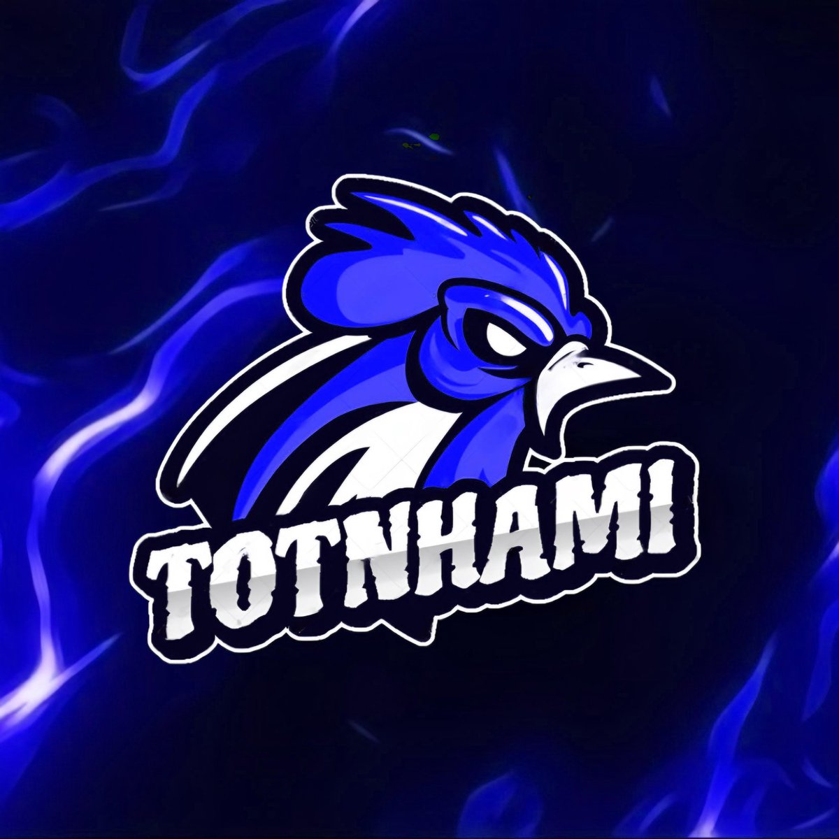 Totnhami Team tweet media