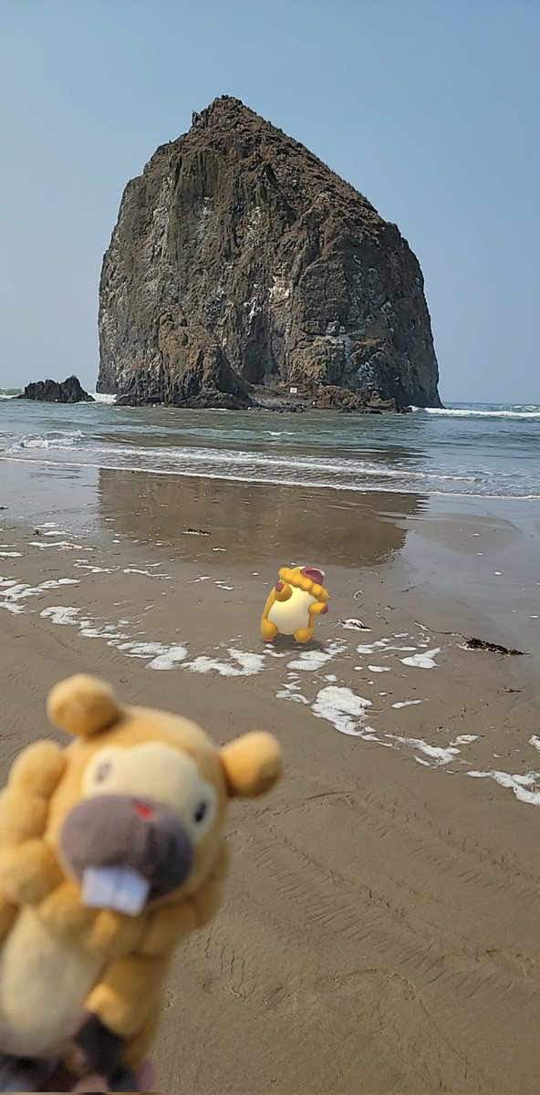 Bidoof and I visited Haystack Rock today! #Maxdventures
