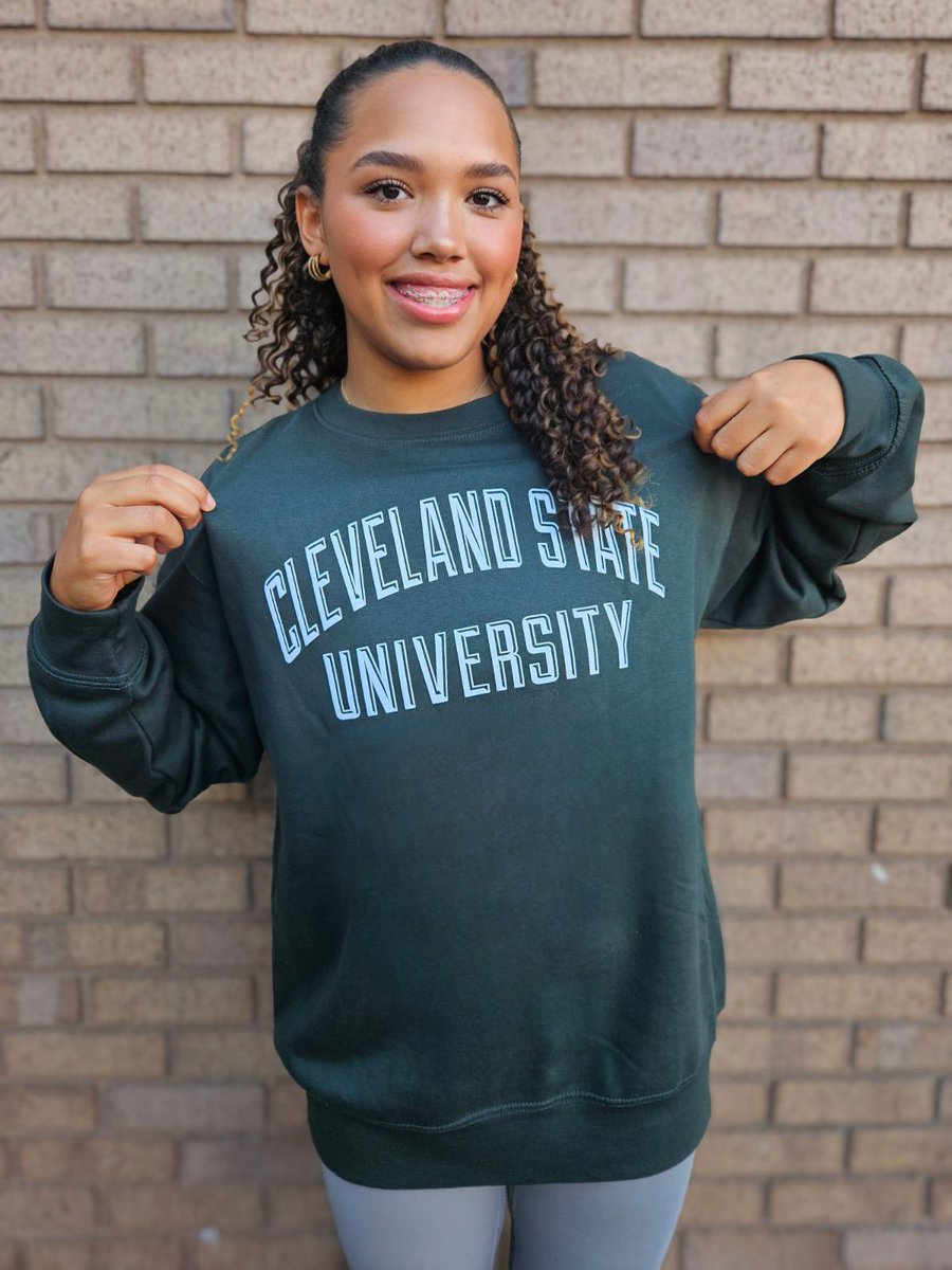 oliviahood1408's tweet photo. It’s Offical!!💚🖤@CSU_Softball @NewCastleAreaSD @NCNewsSports @TribLiveHSSN @LCSportsNet @TexasGlory06PA #GoVikes https://t.co/lCaXo1at53