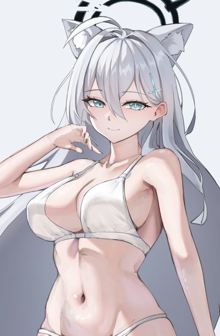 #ブルアカ
シロコテラー 