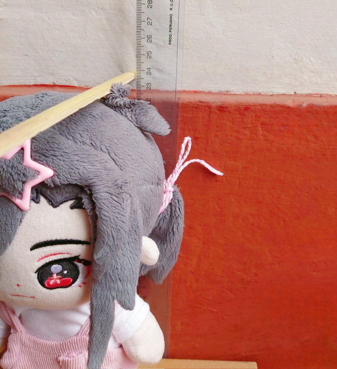 Xie Lian and San Lang wanted to know how tall they are!
Xie Lian is 21.7 cm and with his hair bun 23.6 cm
San Lang is 23.5 cm
They are about the same size if we count Xie Lian's bun 👀
Also, no wonder when they get together with their cousins, they are the smallest of them all!