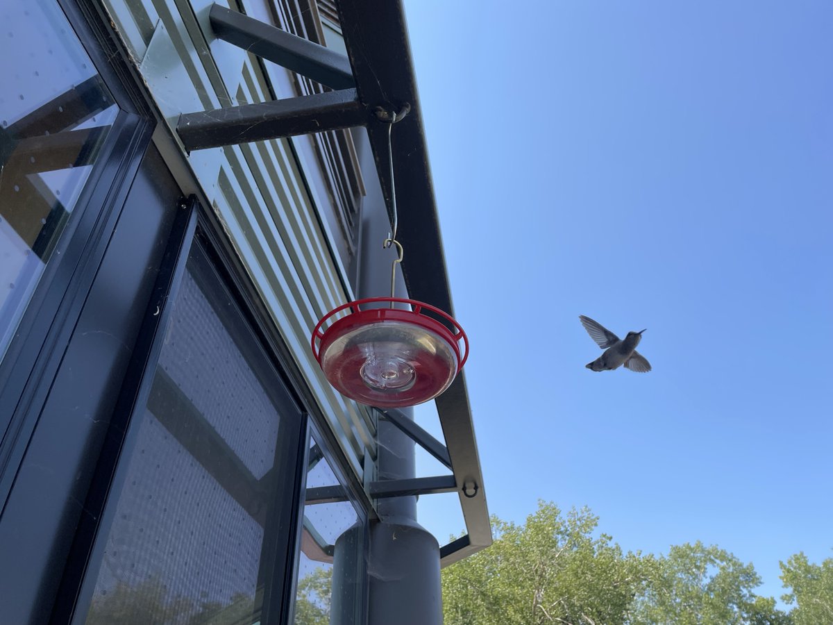 KSL5TV's tweet photo. Experts are urging Utahns to turn off their lights and close their curtains from now through October to help birds migrate.

@newswithShelby reports.

https://t.co/tYoS0mWTrP https://t.co/85k7w2kLIp