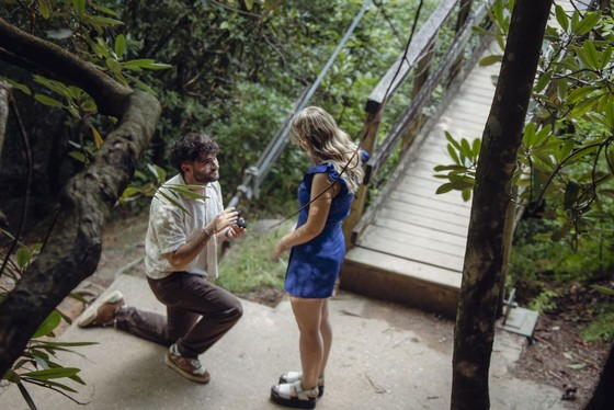 Vanderbilt MSTP tweet media