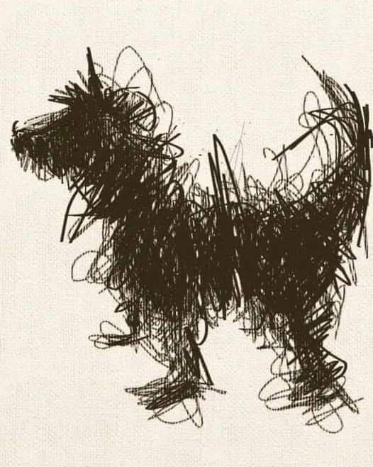 aitzza's tweet image. #muir