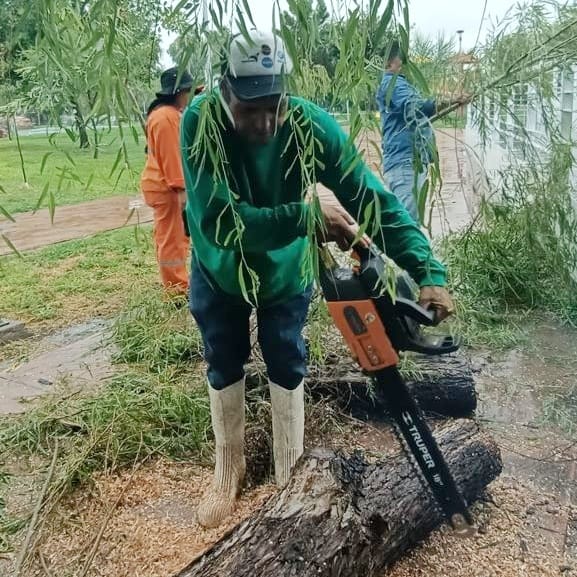 Retiramos ramas caídas y acumulación de desecho vegetal en las áreas verdes del Bosque Urbano 🌳 

Seguimos trabajando en beneficio de la seguridad de nuestros visitantes 👪 

#TorreónSiemprePuede 💪