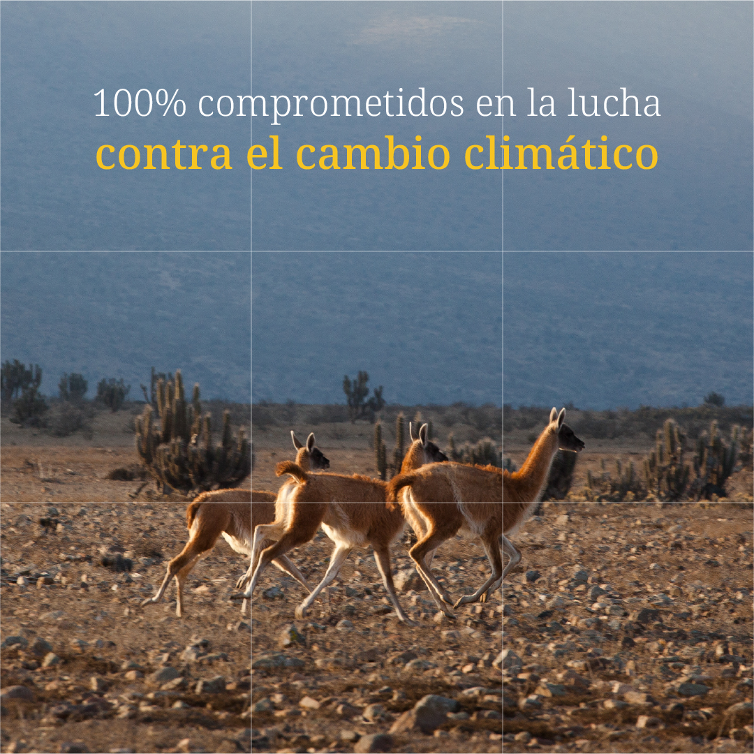 Produciremos un hierro de alta calidad, que ayuda a reducir el calentamiento global.

Es un material clave en la fabricación de vehículos eléctricos y la construcción de turbinas eólicas.
Además, tiene menos impurezas y requiere 25% menos de energía en el proceso de fundición.
