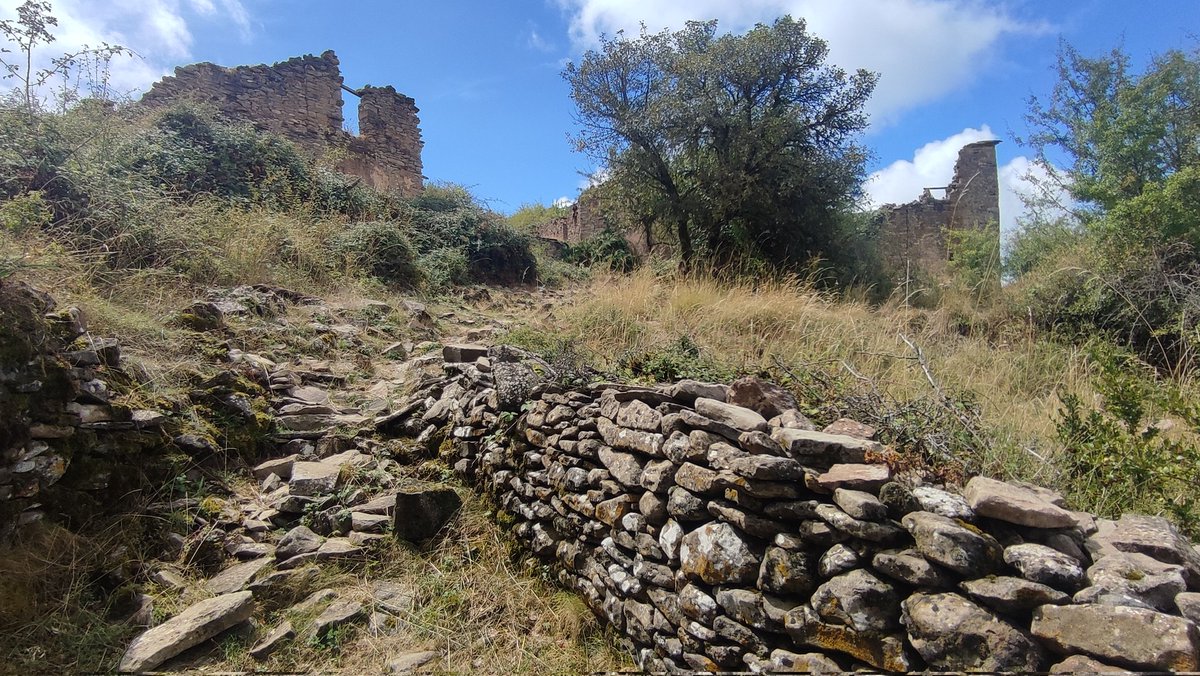 Jaume Monés 🆂🅴🅽🅳🅴🆂 tweet media