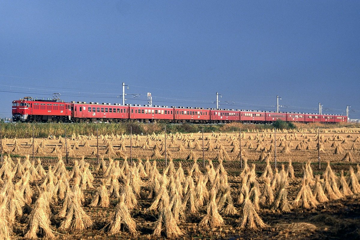 50系客車10両セット 50系客車10両セット 50系客車10両セット N）50系客車をリアルな車間で