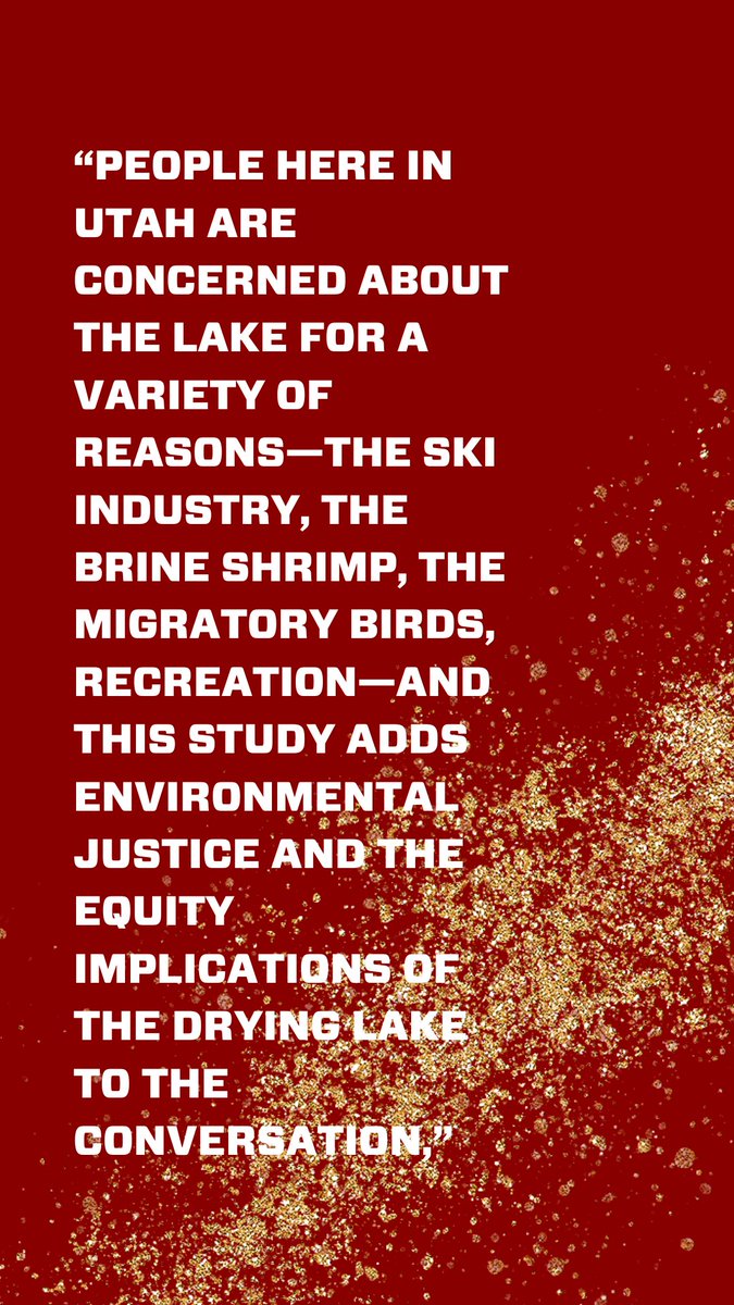 College of Social and Behavioral Science tweet media