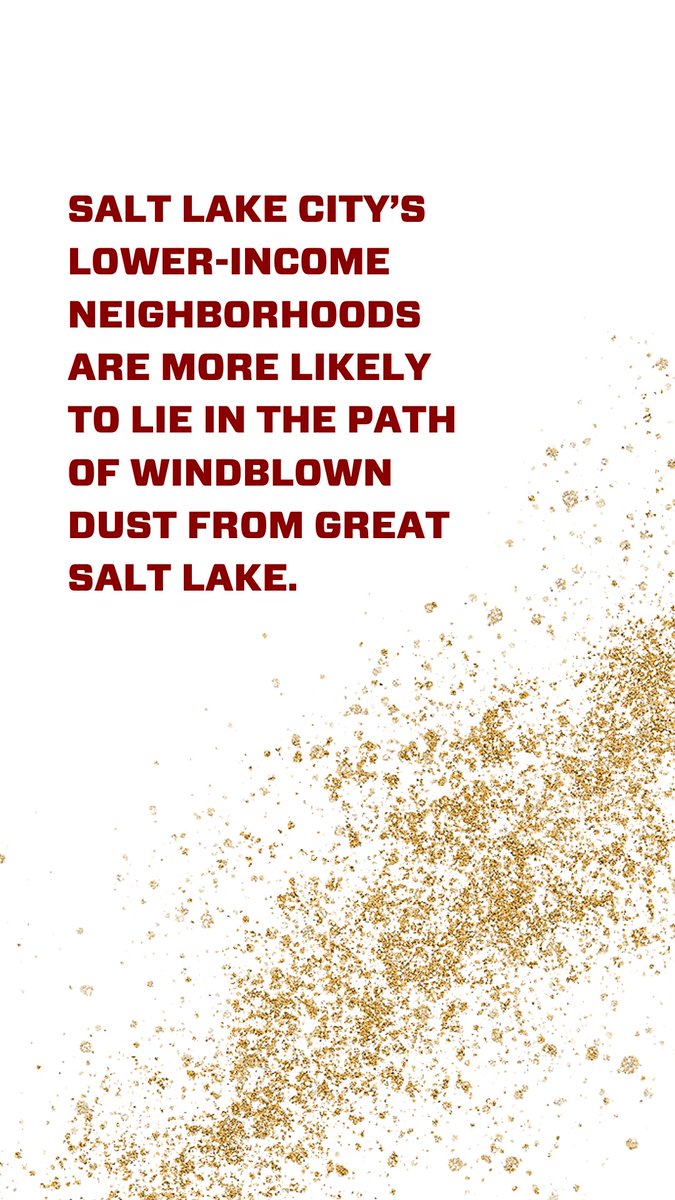 College of Social and Behavioral Science tweet media