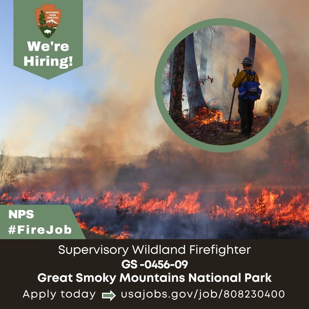 FireAviationNPS's tweet image. This #Firejob is for you! Come work in the @greatsmokynps as a supervisory wildland firefighter (GS-0456-09). This position supervises to a Type 1 Wildland Fire Module. Take a look 👀 at the requirements and apply today! #NotYourOrdinaryJob
✔️ow.ly/WRPU50TgY3N