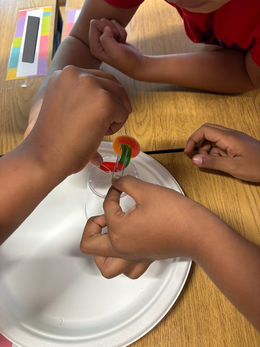 Miss Ingoldsby (@missingoldsby) on Twitter photo Did our first STEM challenge today! Learned about the importance of teamwork, innovation, and creativity through our Saving Fred challenge π #WCDSBAwesome <a href="/WCDSBInnovates/">WCDSBInnovates</a> Did our first STEM challenge today! Learned about the importance of teamwork, innovation, and creativity through our Saving Fred challenge π #WCDSBAwesome <a href="/WCDSBInnovates/">WCDSBInnovates</a>