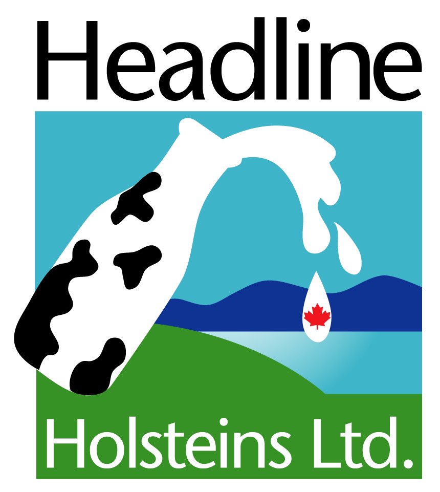 Team Curtis Curling tweet media