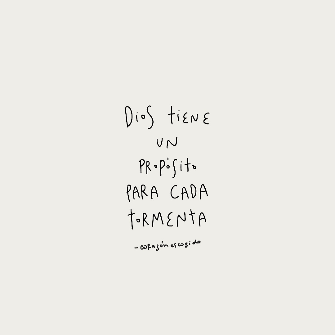 el Siervo (@elsiervo__) on Twitter photo 