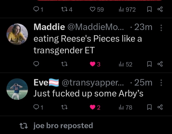 The duality of the trans experience