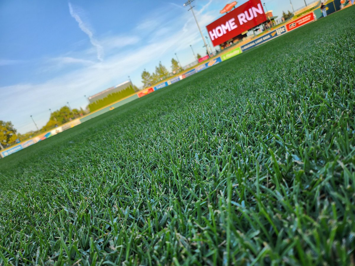 4 more on year #9 #GroundsCrew <a href="/greatlakesloons/">Great Lakes Loons</a>