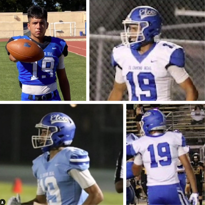 Javier Rodriguez tweet media