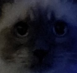 ʟɪǫᴜɪᴅ ʏʌᴏᴛᴢɪN.神 tweet media