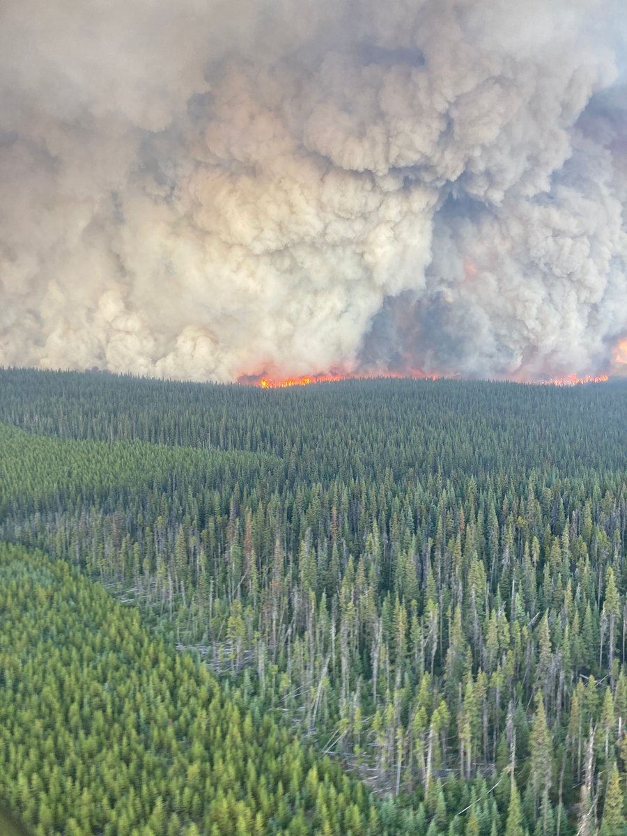 BC Wildfire Service (@bcgovfireinfo) on Twitter photo Fire behaviour has increased on fires within the Ootsa Lake Complex.
The Sabina Lake wildfire (R11204), located S of Ootsa Lake and about 80km S of Burns Lake has organized crown fire behaviour and breached containment lines on the E flank, burning to the NE, towards Ootsa Lake. Fire behaviour has increased on fires within the Ootsa Lake Complex.
The Sabina Lake wildfire (R11204), located S of Ootsa Lake and about 80km S of Burns Lake has organized crown fire behaviour and breached containment lines on the E flank, burning to the NE, towards Ootsa Lake.
