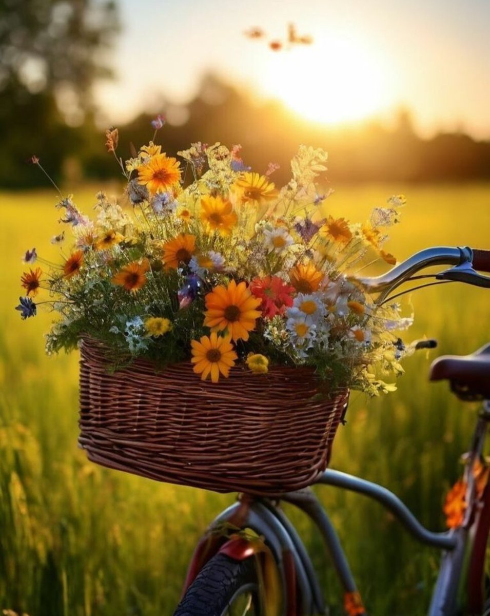 *क्या कमाल है...*

*एक सेब गिरा...*
*गुरुत्वाकर्षण का*
 *आविष्कार हो गया...*

*और*

*इधर इंसान रोज गिर रहा है ...*
*पर इंसानियत का आविष्कार अभी तक नहीं हुआ...!*