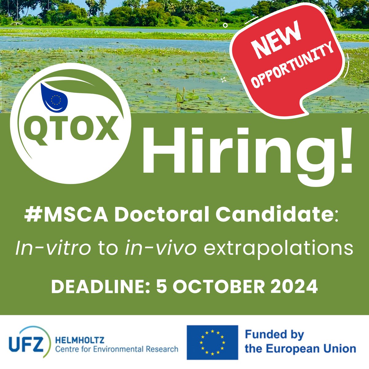 QTOX8's tweet image. Are you a Master’s graduate in environmental sciences, chemistry, biology, and related fields? Don’t miss this unique opportunity to pursue your #PhD career at @UFZ_de in Leipzig, Germany!
Deadline: 5 OCTOBER 2024
Vacancy: bit.ly/3Tdm7UX
#ecotoxicology #MSCA #H2021