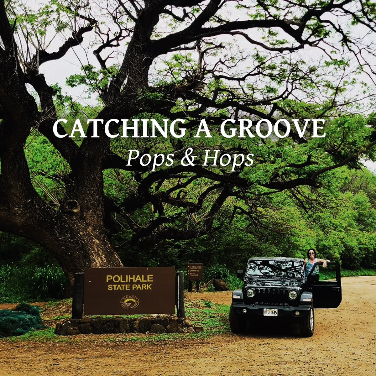 New episode dropping tomorrow, but there's still time to catch a groove with us tonight! In our most recent episode, we discuss the iconic Hawaiian jazz-hapa haole fusion duo Steve &amp; Teresa and sample <a href="/HonoluluBeer/">Honolulu Beerworks</a>. Groove with us at popsonhopspod.com or any podcasting app!