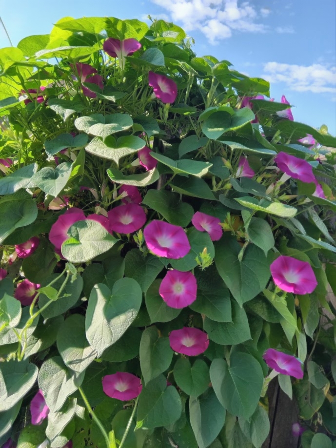 ipaintz's tweet image. #Fullscreen #Art