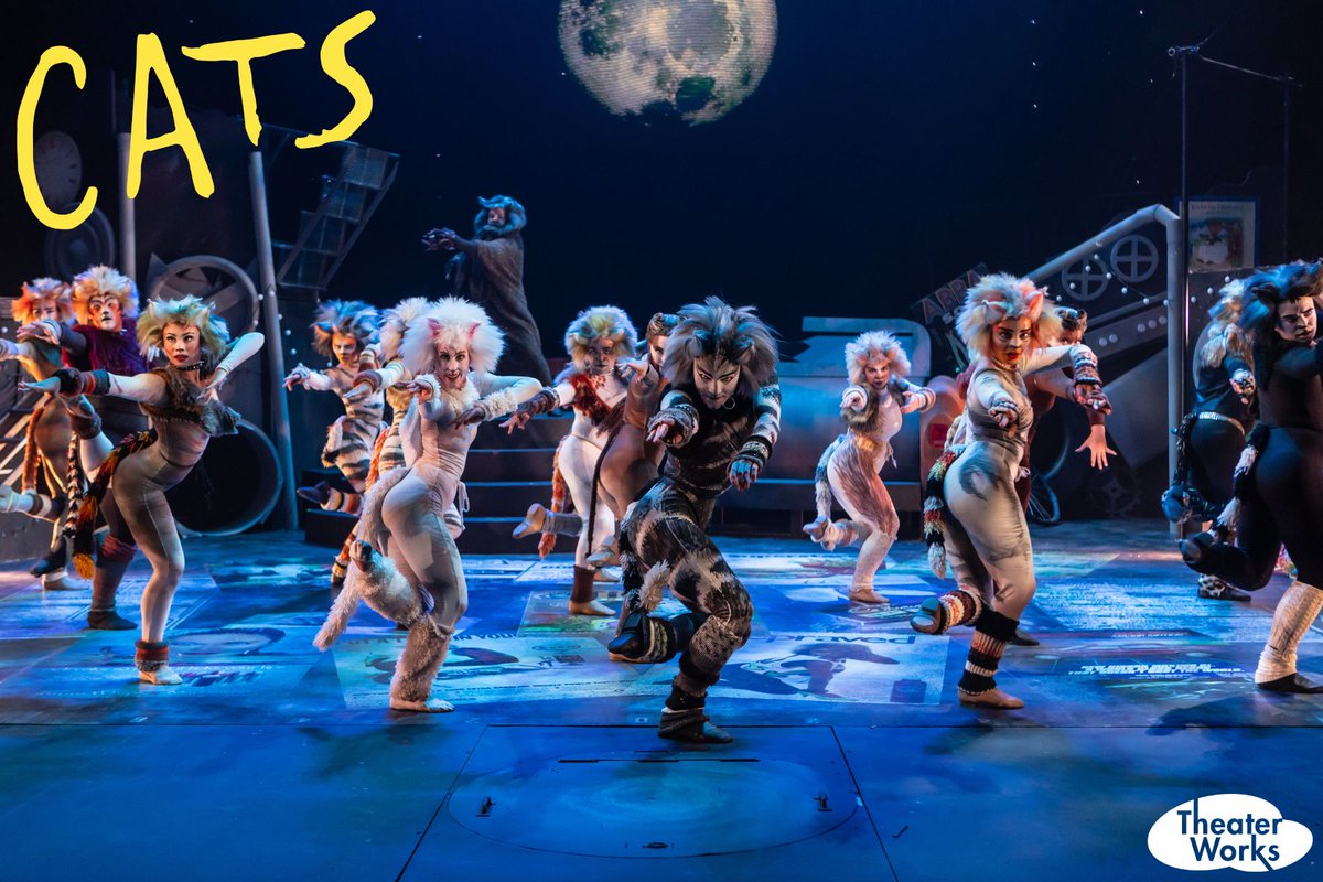 PHXStages's tweet photo. Your first look at CATS at TheaterWorks, which runs September 6-22
https://t.co/bCokSKvMtl https://t.co/Jjb4GFSiep