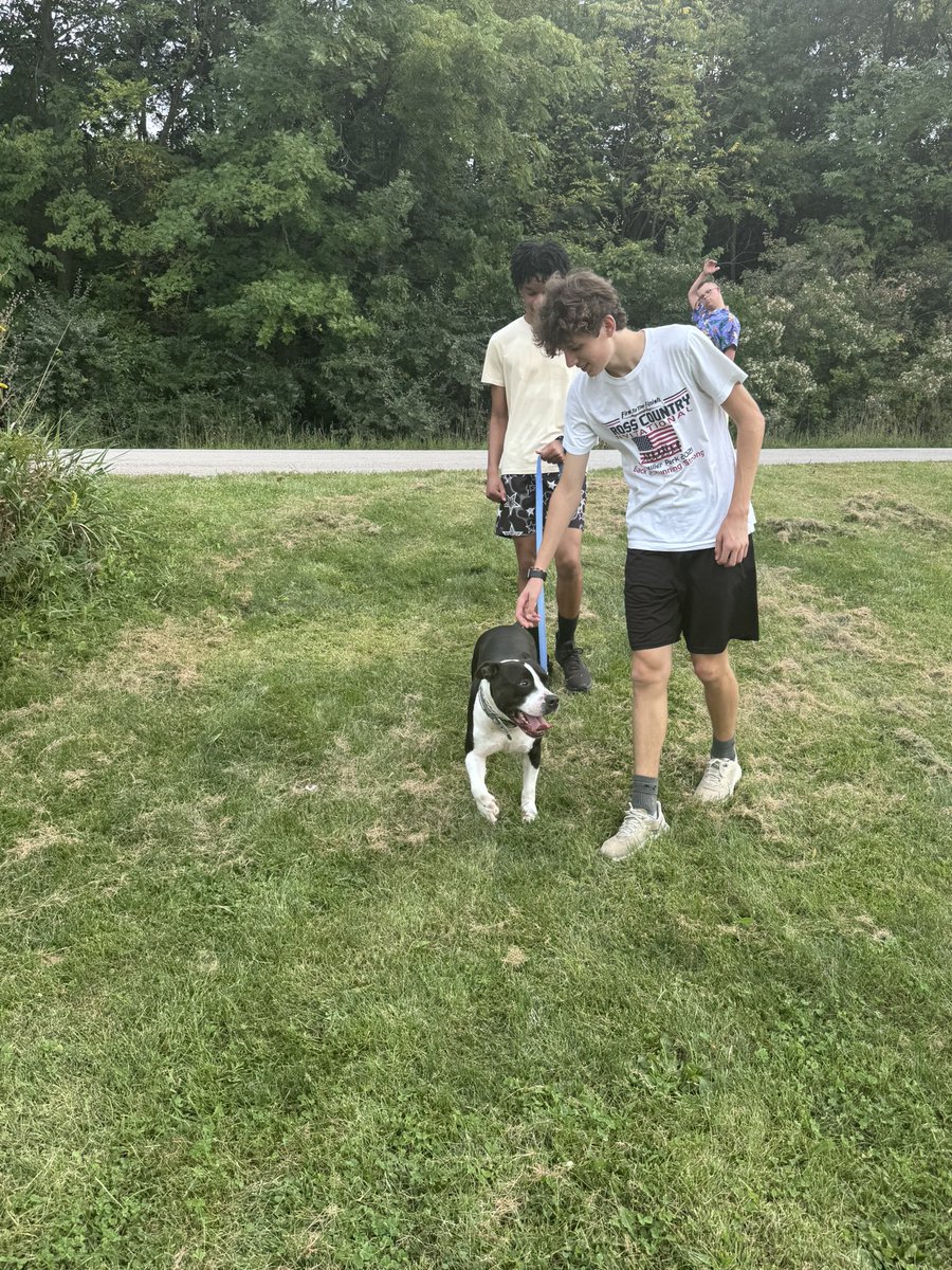 🦮🐶🐾🤗 <a href="/IHSA_IL/">Illinois High School Association #IHSA</a> <a href="/R_I_Schools/">Rock Island-Milan School District #41</a> <a href="/RIMSD_Athletics/">RIRocks Athletics</a> <a href="/RockIslandHigh2/">Rock Island High School</a> <a href="/washingtonpost/">The Washington Post</a> <a href="/kwqcnews/">KWQC TV6 News</a> <a href="/wqad/">WQAD</a> <a href="/WHBF/">Our QC News on Local 4 WHBF</a>