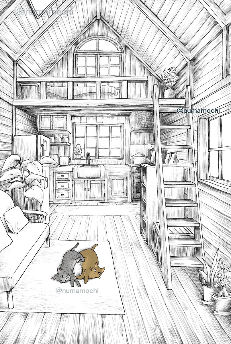 おはようございます☀️#朝活スケッチ29日目 1日15分!今日から色塗り🖌️まず猫から🐈🐈 