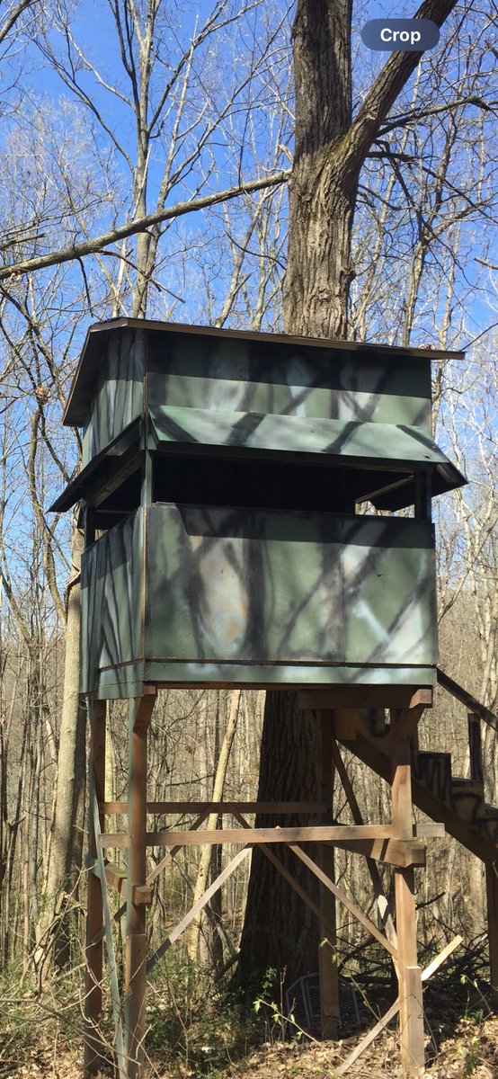 Get your pets in. Great time to Brassicas in