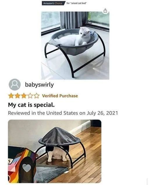 WholesomeMemes (@wholesomememe) on Twitter photo 