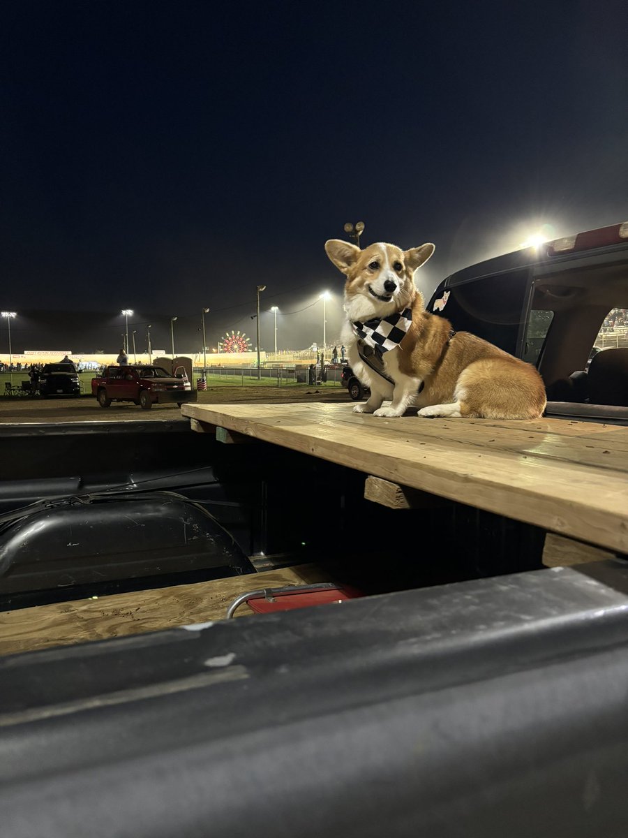 PushCorgi's tweet image. There’s nothing like fair week at @PortRoyalSpdway 😁🎡 #speedpalace