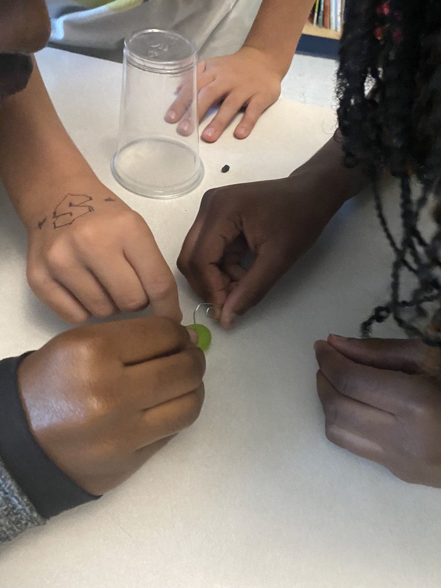 Groups worked together to Save Fred! <a href="/StMichaelOCSB/">St. Michael School (Ottawa)</a>