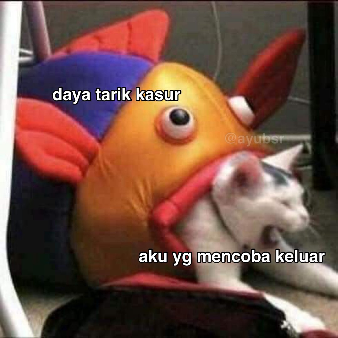 ayubsr's tweet image. aku setiap pagi