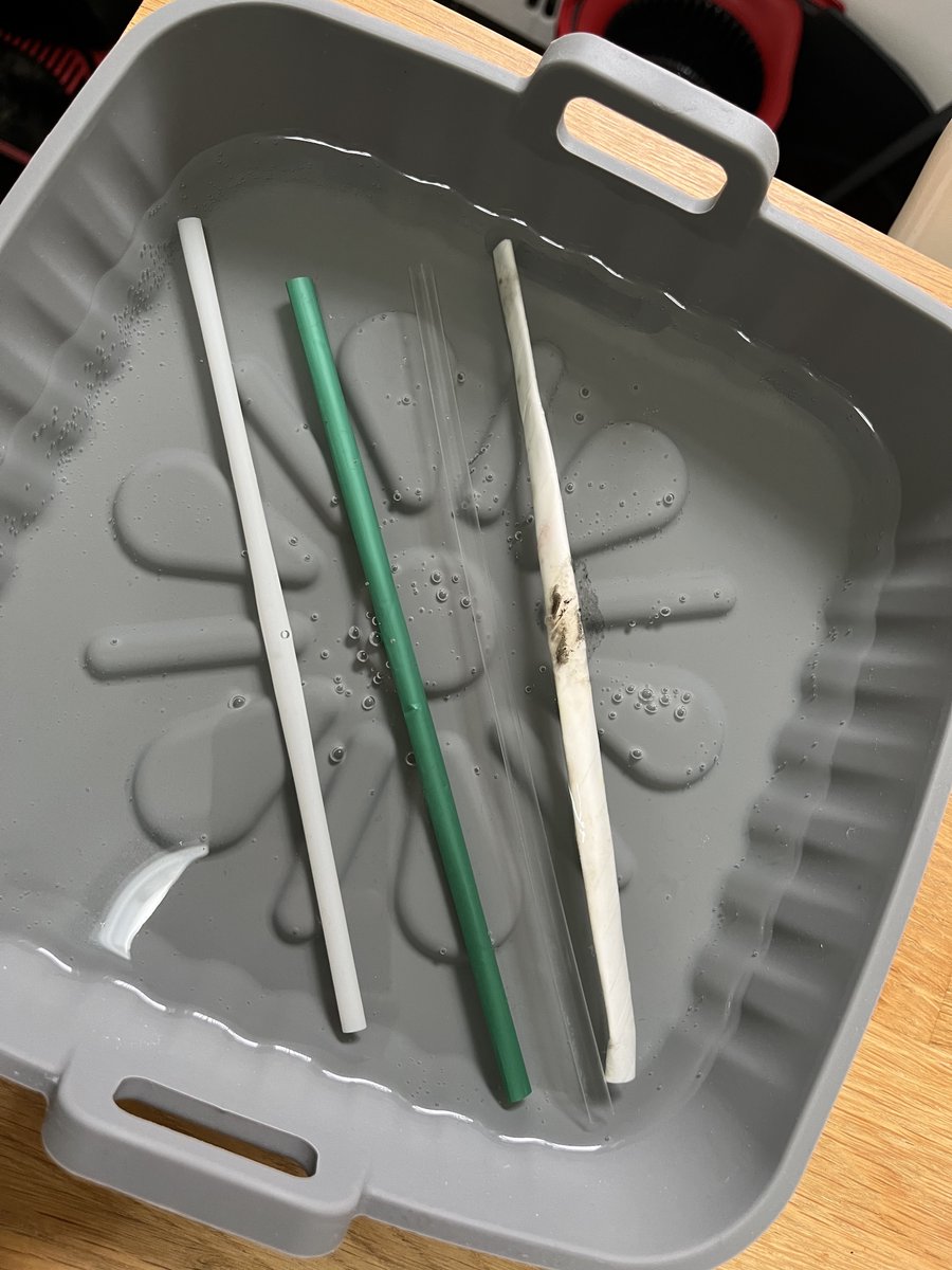 DAY 32: it's hard to see in the pic, but there are some small cracks forming in OMAO straw. 

We are one third of the way into our challenge. 

Will the OMAO straw biodegrade in 90 days or less?

- just sitting in water.
- no special treatment.

Let's go!