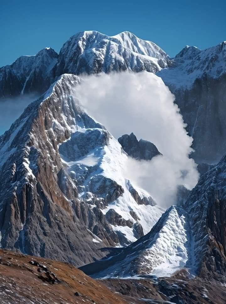 If you're right brained, you'll see a goat.
If you're left brained, you'll see a eagle