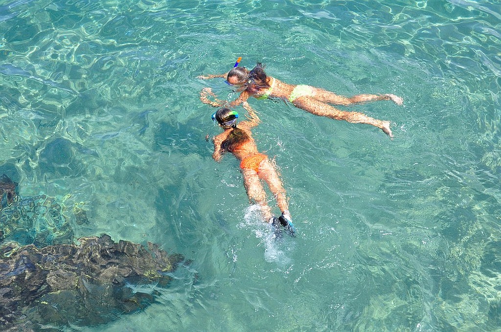 infobohol's tweet photo. Are you an adventure sports lover? Do you love to go snorkeling whenever you visit any island or water sports destination during your vacation?
#AlonaBeach #BoholPhilippines #boholtourpackages #BoholToursandTouristSpots #BoholTravel #snorkelingexpertise
https://t.co/SSbgv8SA84 https://t.co/03PbVjSdst
