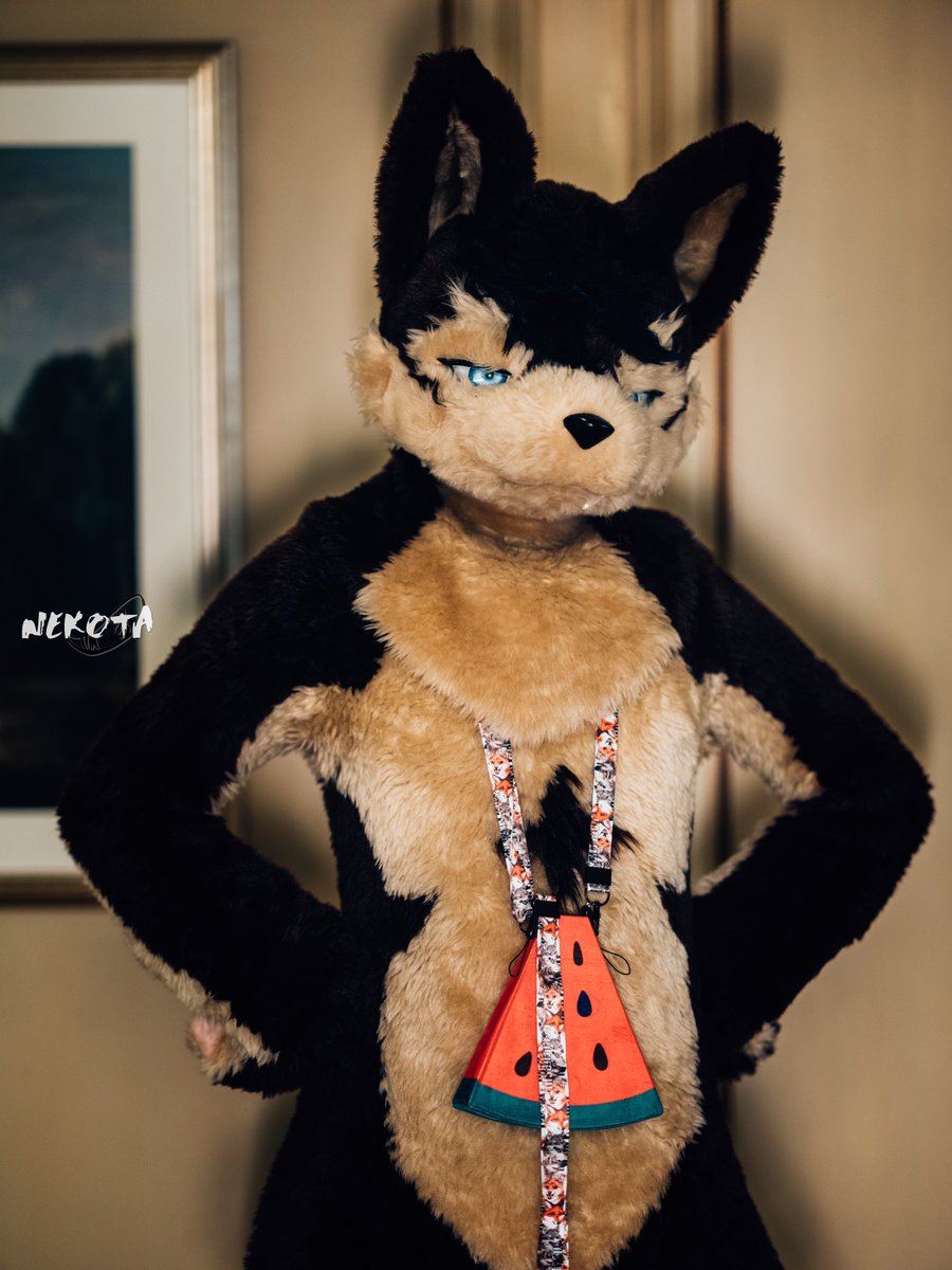 #FursuitFriday 
好久没有发毛五了，才不是因为没有库存了（叉腰）
📷：<a href="/FurryTsuha/">梓夏🐾Tsuha🐾ツハ🔜寺もふ</a> 
<a href="/hinekota/">ネコタ@NEKOTA➡寺もふ</a>