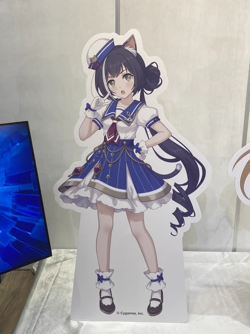 行ってきました 