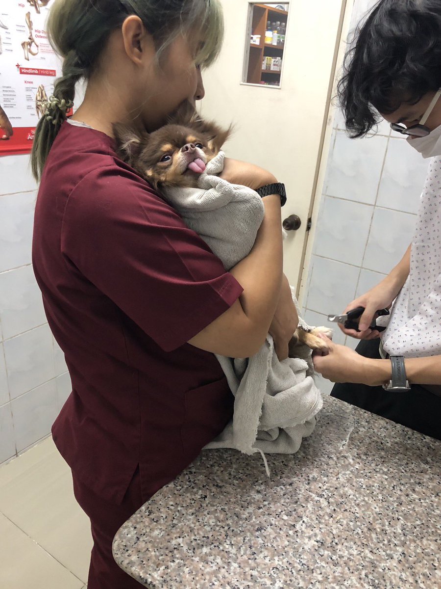 SuthasiriG's tweet photo. @somkon283 คอมเฟิมฮะ หลุดโผได้ไงก่อนนน https://t.co/LpEN8p0vjO