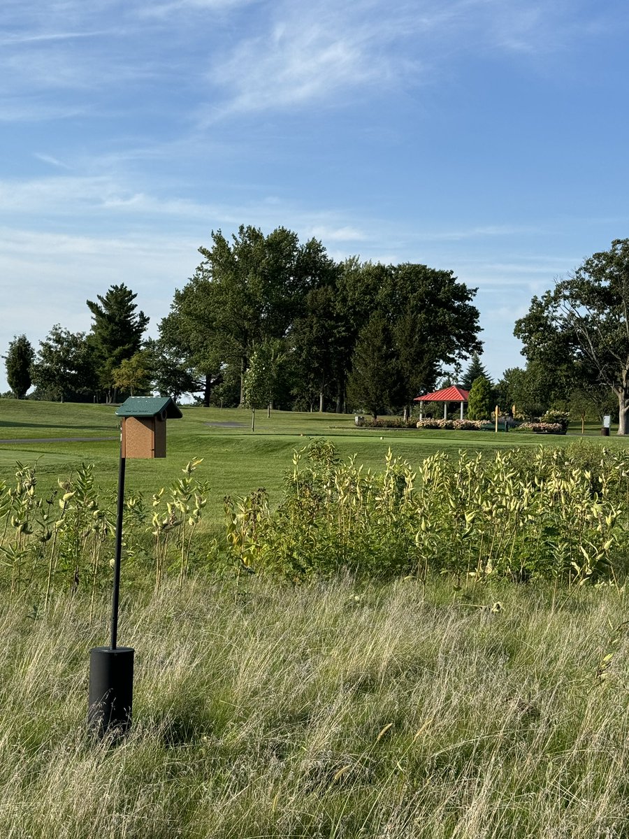 Correction. Meredith Eversman’s score today 87.