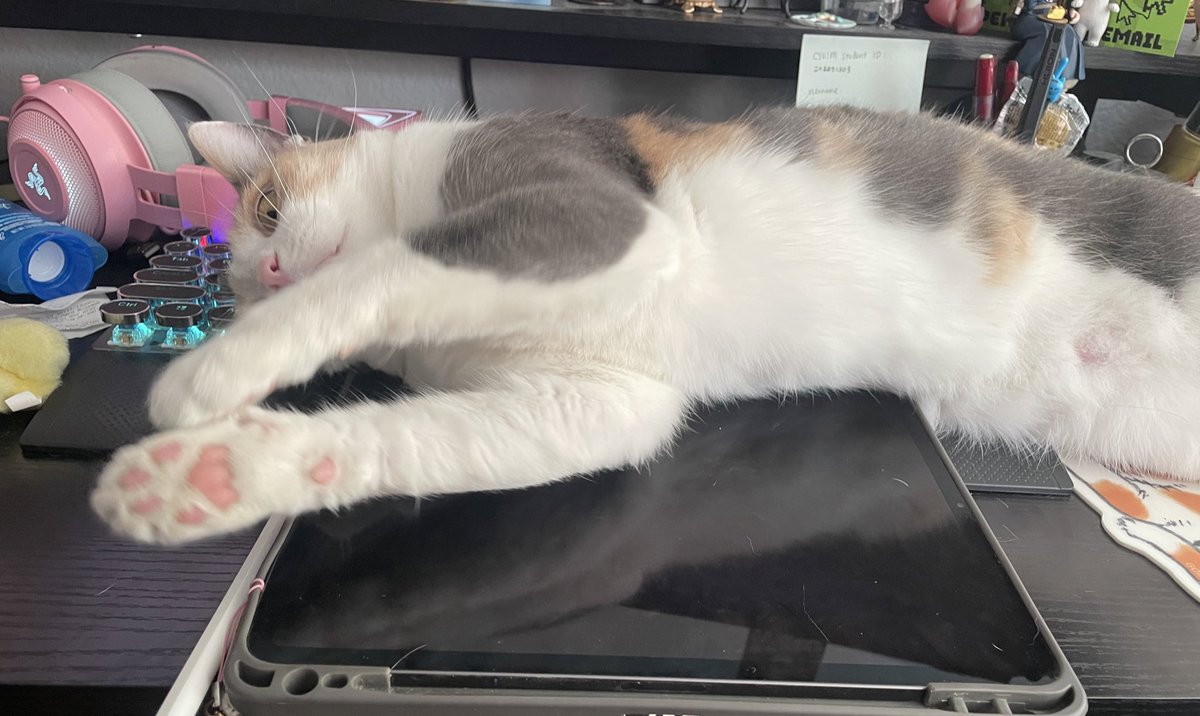 alysa 🍉 tweet media