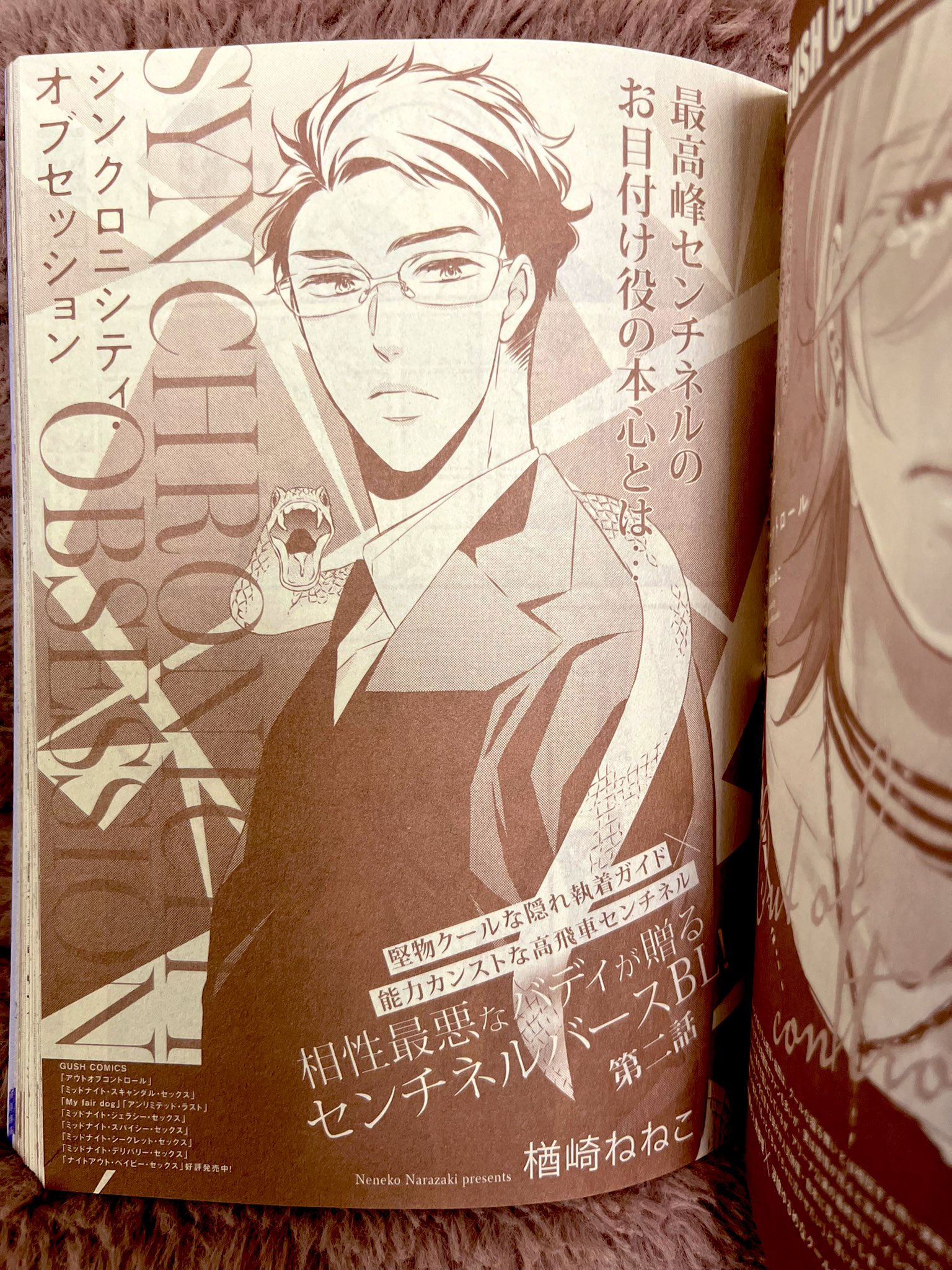 限定希少　エンライトメント　画集　Both Sides BL限定ナンバー入り 限定希少 エンライトメント 画集 Both Sides BL限定ナンバー入り